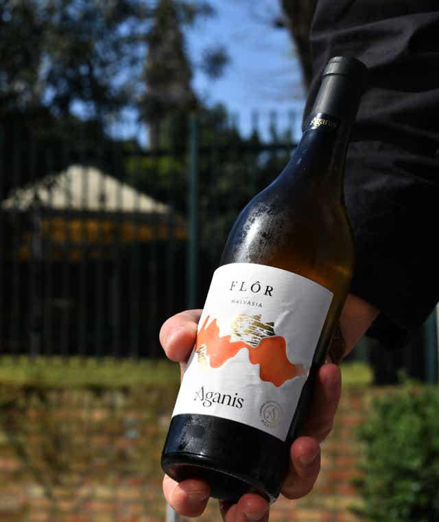 Dettaglio della mano di uno dei nostri camerieri, che sorregge una bottiglia di vino. Sullo sfondo il canale di Burano, in particolare si vede il giardino della scuola dall'altra parte del canale della fondamenta.