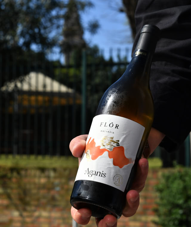 Dettaglio della mano di uno dei nostri camerieri, che sorregge una bottiglia di vino. Sullo sfondo il canale di Burano, in particolare si vede il giardino della scuola dall'altra parte del canale della fondamenta.